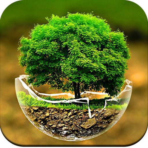 Tree Wallpaper 1.02