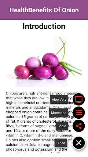 Health Benefits Of Onion screenshot 2