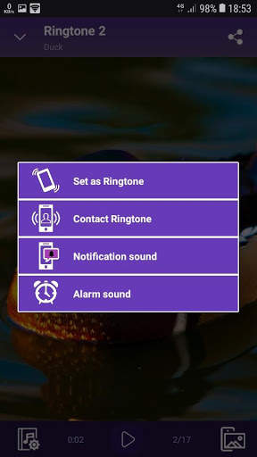 Duck - RINGTONES and WALLPAPERS screenshot 4