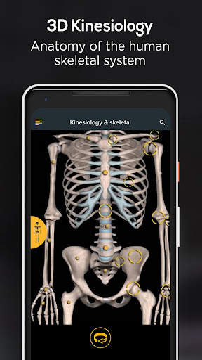 Anatomy by Muscle & Motion screenshot 4