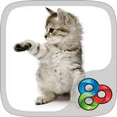 Little Kitty GO Launcher Theme icon