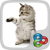 Little Kitty GO Launcher Theme 2.0