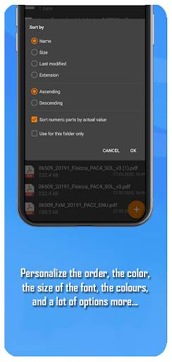Downloads folder: Organizer tool screenshot 4