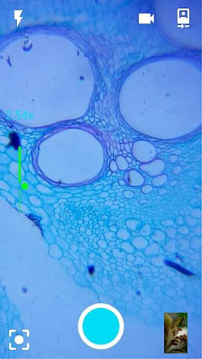 BLIPS - SmartMicroOptics - DIPLE 1 تصوير الشاشة