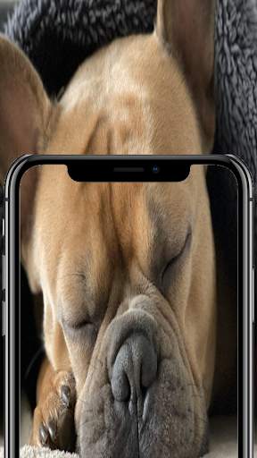 fondos de pantalla 4k - fondos de pantalla gratis screenshot 4