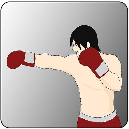 Guide about boxe workout 4.0