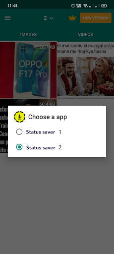 Dualspace Status Saver screenshot 5
