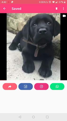 Quick Downloader For Reels screenshot 3