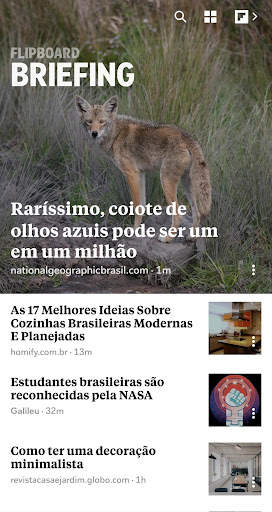 Flipboard Briefing screenshot 1