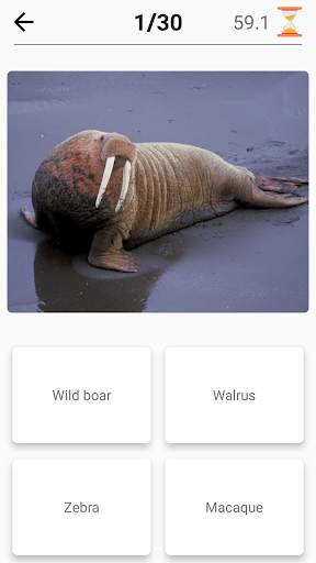 Mammals – Learn All Animals in screenshot 6