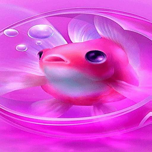 Cute Fish Live Wallpaper 3