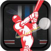 Cricket World Cup 2015 Free 1.4