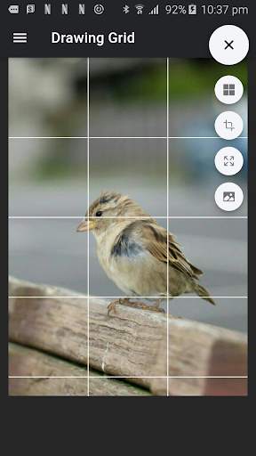 Drawing Grid 1 تصوير الشاشة
