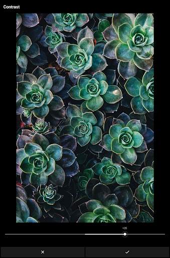 Grafo Photo Studio screenshot 11