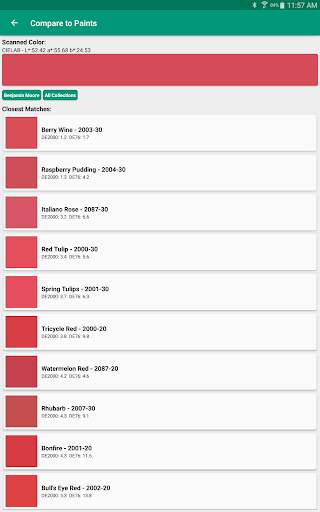 Nix Pro Color Sensor screenshot 12