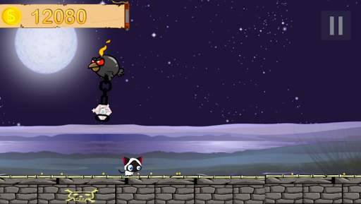 Cat screenshot 7