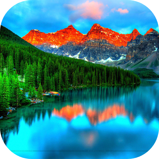 50000 Nature Wallpapers &amp; Backgrounds icon