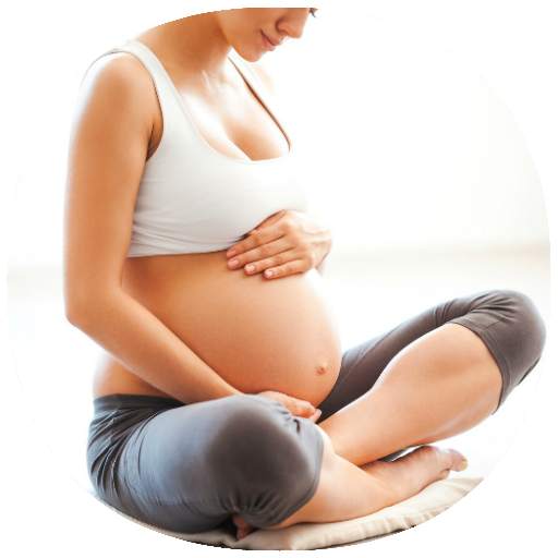 First Trimester Pregnancy Day by Day Guide 1.0