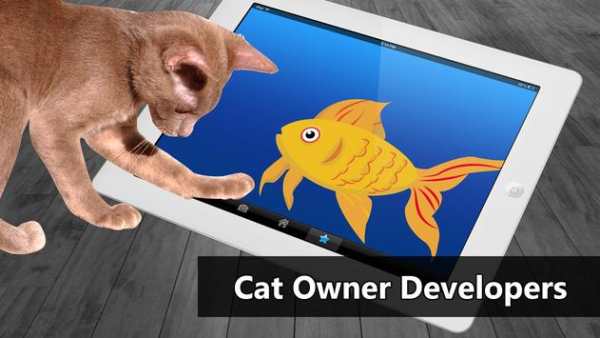 Cat Toys - Goldfish Cat Games screenshot 3