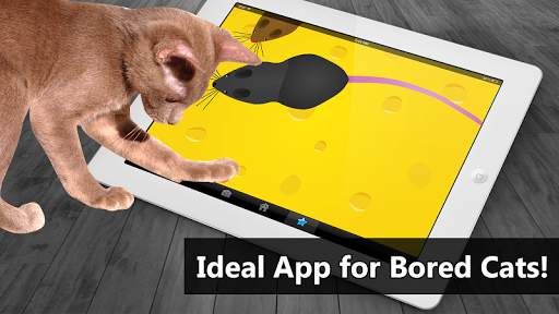 Cat Toys - MouseHunt Cat Games screenshot 2