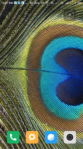 Feather wallpaper screenshot 11