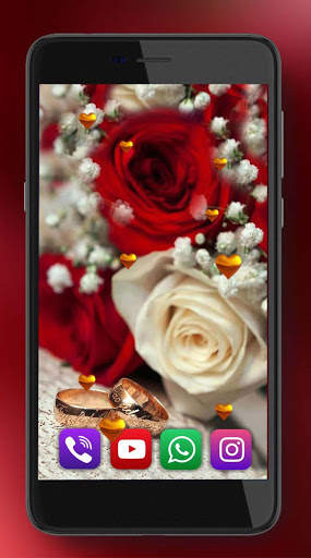 Roses Red Love Live Wallpaper screenshot 4