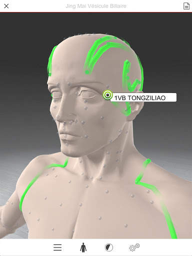 Acupuncture 3D screenshot 7