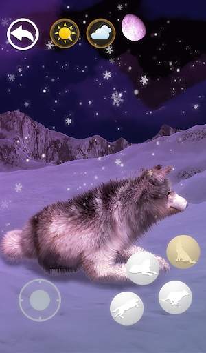 Talking Wolf screenshot 7