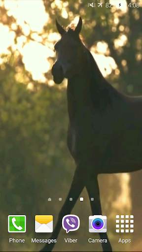 Horse 4K Video Live Wallpaper screenshot 4