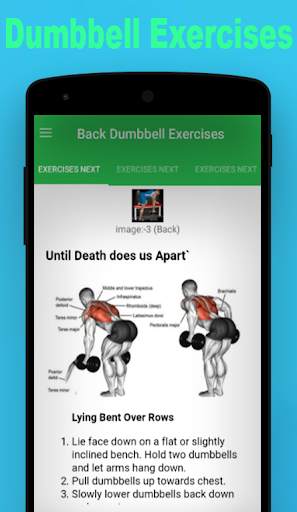 Dumbbell Exercises Free screenshot 8
