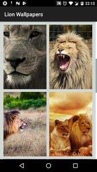 Galatasaray Aslan Wallpaper screenshot 1