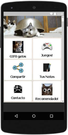 Gifs de Gatos Chistosos screenshot 1