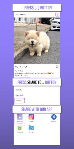 Video, Foto, IGTV, Reels Pengunduh untuk Instagram screenshot 3