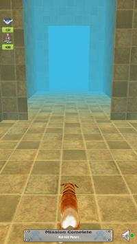 Temple Dog Run screenshot 3