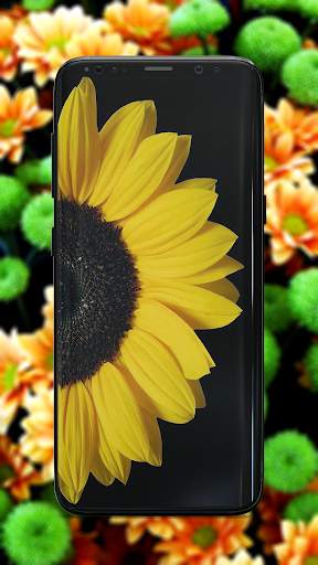 Flower Wallpaper screenshot 4