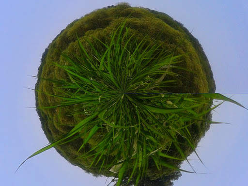 Tiny world and toon camera screenshot 21