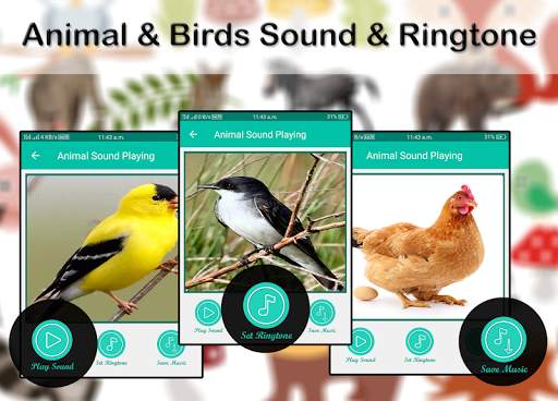 Animals & Birds Sound & Ringtone 2019 screenshot 1