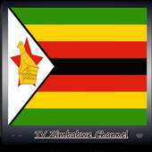TV Zimbabwe Channel Info logo