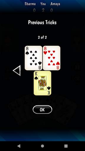 325 Card Game screenshot 5