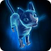 Hologram Cat Tom 3D 1.1