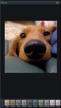 Photo Editor Apps Free screenshot 1