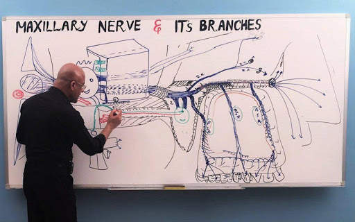 Neuroanatomy & Neuroscience - Anatomy Lectures screenshot 4