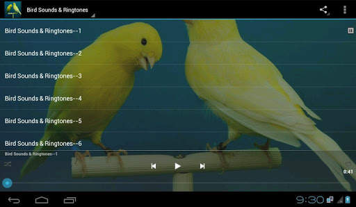 Canary Bird Sounds & Ringtones स्क्रीनशॉट 1
