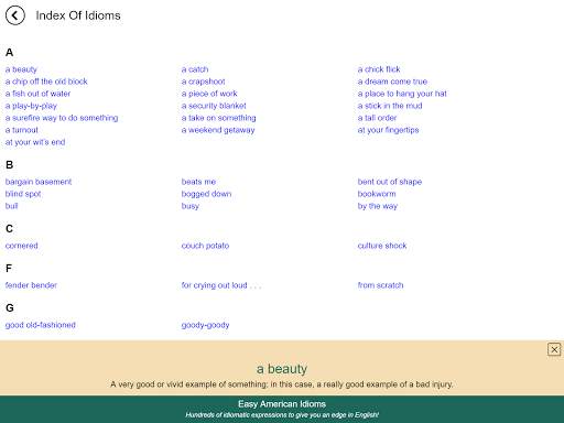 Easy American Idioms screenshot 8