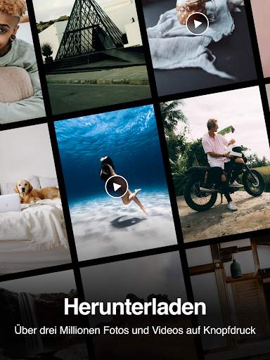 Pexels: HD  Videos & Fotos screenshot 6