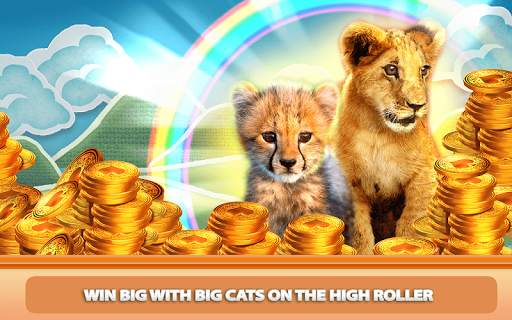Casino Kitty Free Slot Machine screenshot 11