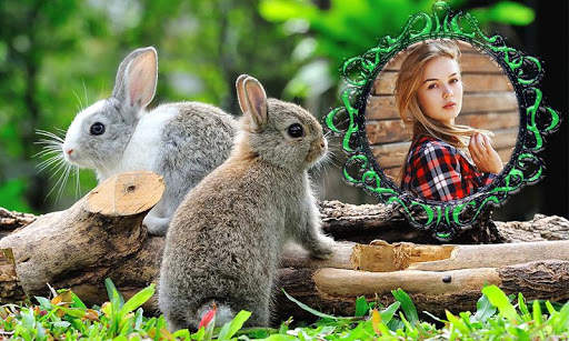 Rabbit Photo Frames screenshot 5