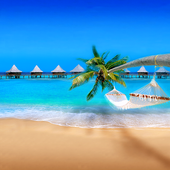 Sea Live Wallpapers icon