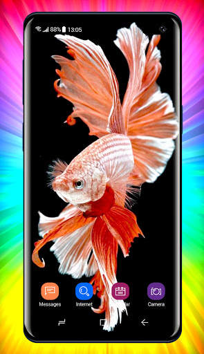 Betta Fish Wallpaper screenshot 2
