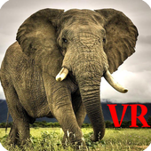 VR Elephants - Google Cardboard Game icon